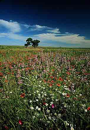 Indian Territory and Oklahoma